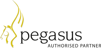 Pegasus partner